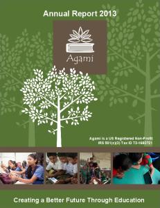 Agami Annual Report 2013.pdf