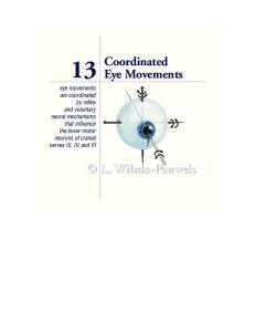 coordinated eye movement.pdf
