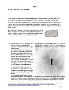 DNA extraction from cheek cells protocol I mailed to you