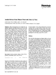 Insulin release from human pancreatic islets in vitro