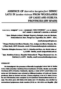 of cadiz and huelva provinces (sw spain)