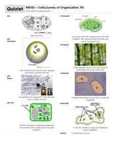 RRISD---Cells/Levels of Organization 7th