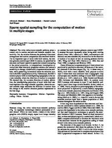 Sparse spatial sampling for the computation of motion ... - Springer Link