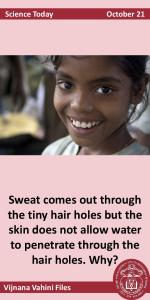 Sweat comes out through the tiny hair holes but the skin does not ...