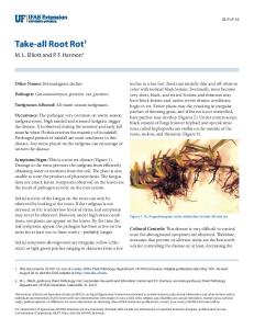 Take-all Root Rot1 - EDIS - University of Florida