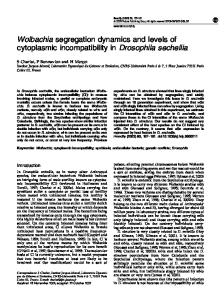 Wolbachia segregation dynamics and levels of cytoplasmic ... - Nature